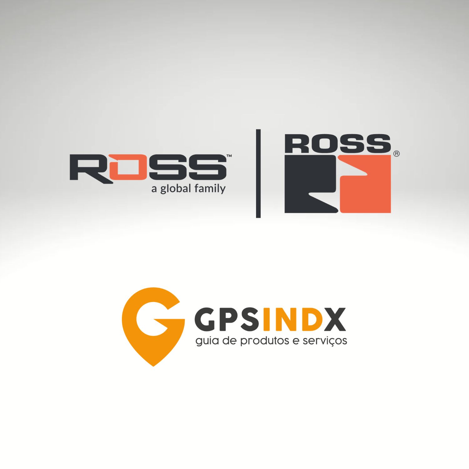 V&Aacute;LVULAS ROSS CONTROLS BRASIL